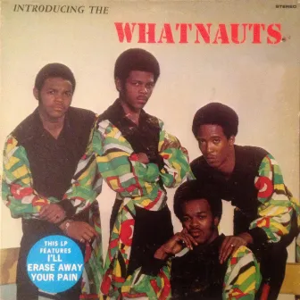 Introducing the Whatnauts by The Whatnauts