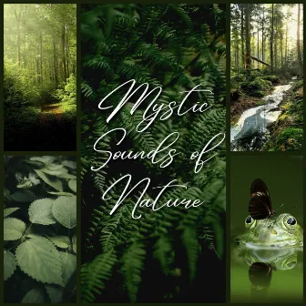 Mystic Sounds of Nature: Natural Songs to Restore Calm and Balance by Mystic Relaxation Side