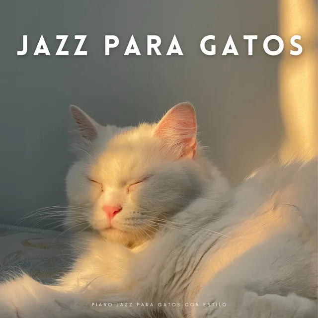 Piano Jazz Para Gatos Con Estilo