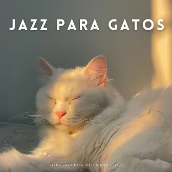 Piano Jazz Para Gatos Con Estilo by Cool Jazz Chill