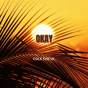 Okay by Cole The VII