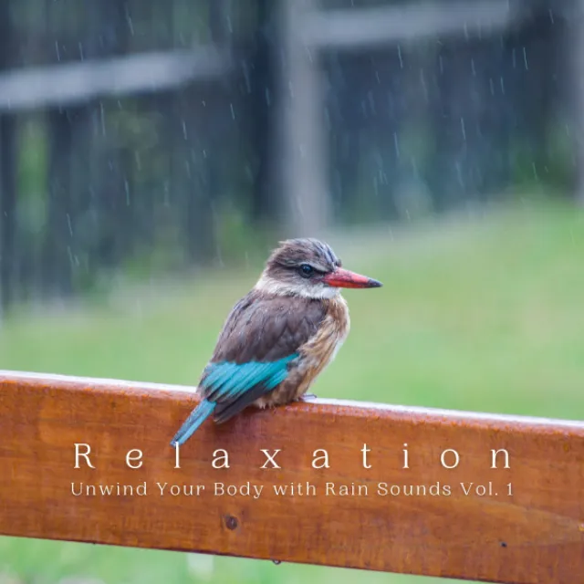 Relaxation: Unwind Your Body with Rain Sounds Vol. 1