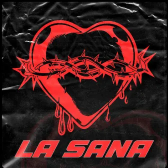 La Sana by Mayer