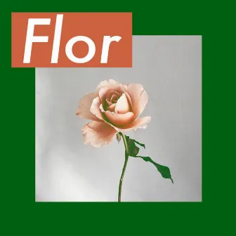 Flor by Mc Dudu