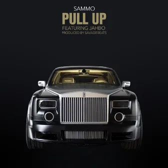 Pull Up by Sammo