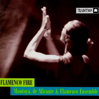 Flamenco Fire by El Pili