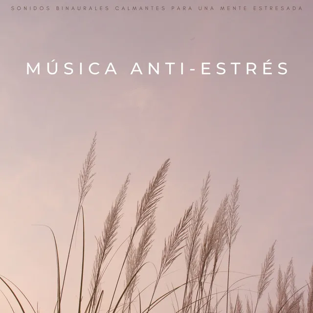 La Pureza De La Música