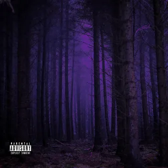 The Forest by The K1ng