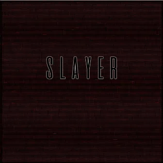 SLAYER by Kick Puncher