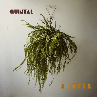 Quintal by Aláfia