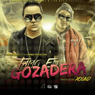 Tamo En Gozadera (feat. Randy Nota Loka) by Mega Sexxx