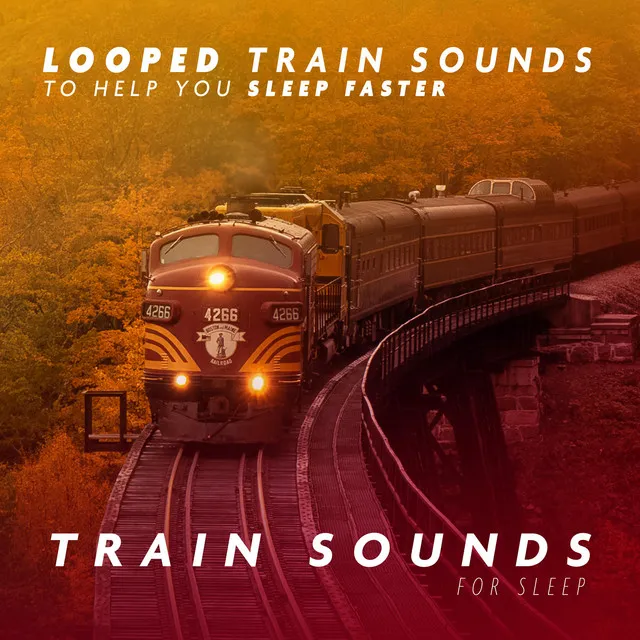 Pan Train Sound for Sleep