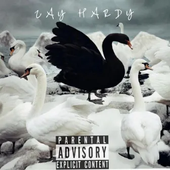 Black Swan by Zay Hardy