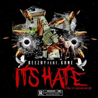 Its Hate by Beezay