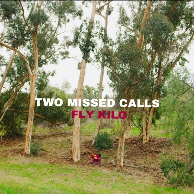 Two Missed Call