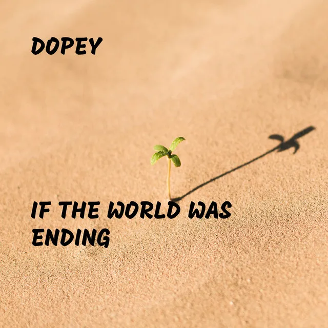 If the World Was Ending