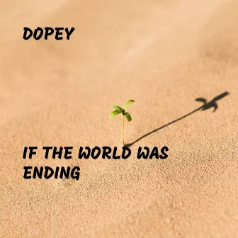 If the World Was Ending by Dopey