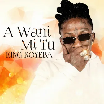 A Wani Mi Tu by King Koyeba