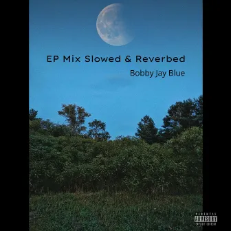 EP Mix Slowed & Reverbed by Bobby Jay Blue