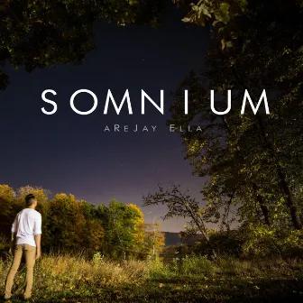 Somnium by Arejay Ella