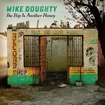 The Flip Is Another Honey by Mike Doughty