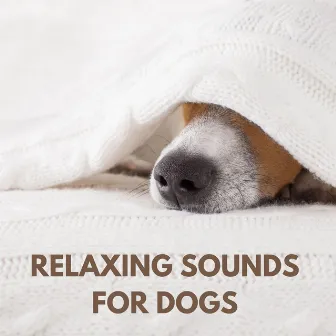 Relaxing Sounds for Dogs by The Dog Relaxer