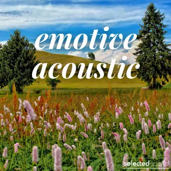 Emotive Acoustic by Stephan Schelens