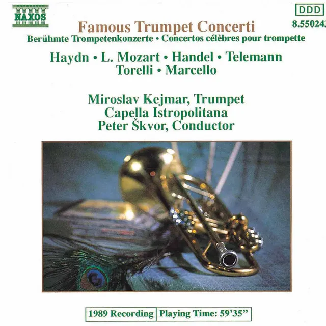 Trumpet Concerto in D Minor: I. Largo - Vivace