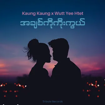 အချစ်ကိုကိုးကွယ် (Live) by Kaung Kaung