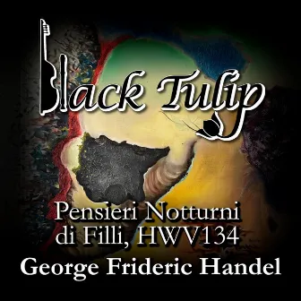 George Frideric Handel (1685-1759): Pensieri notturni di Filli, HWV 134 by Black Tulip