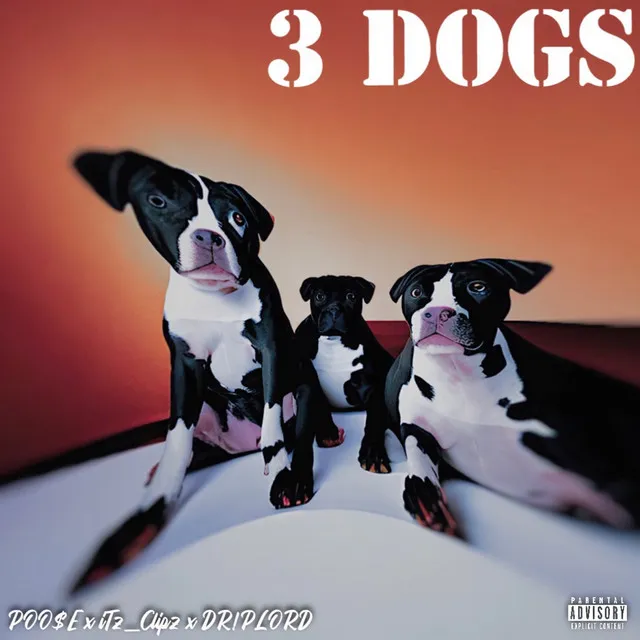 3 Dogs