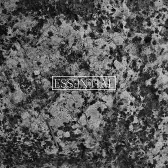 ESSENTIAL 004 by Hd Substance