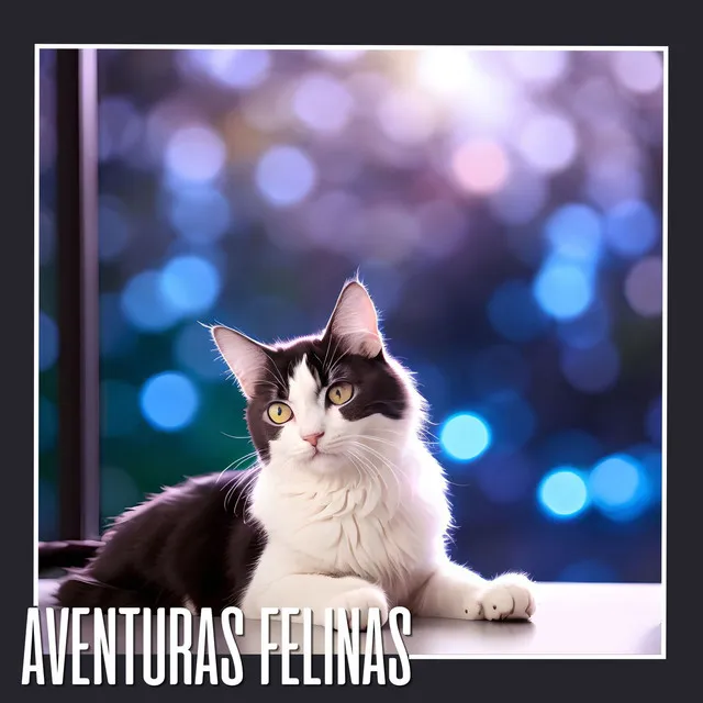 Aventuras Felinas