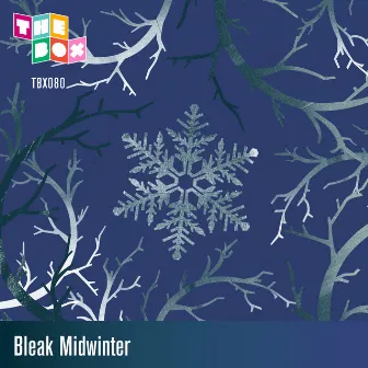 Bleak Midwinter by Paul Thorne