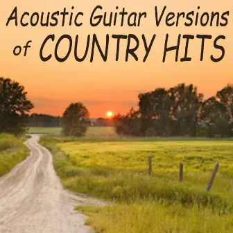 Acoustic Guitar Versions of Country Hits by Steve Petrunak