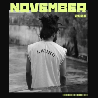 November, 2020 by Latino Perrico