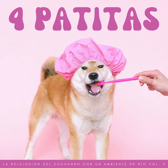 4 Patitas: La Relajación Del Cachorro Con Un Ambiente De Río Vol. 2