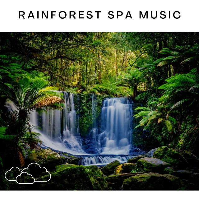 Rainforest Spa Music, Pt. 08