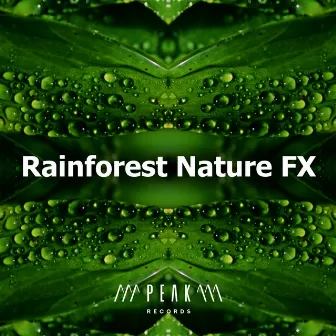 Rainforest Nature FX by Unknown Artist