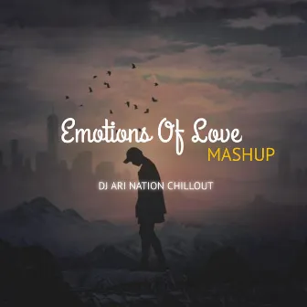 Emotions Of Love by DJ Ari Nation