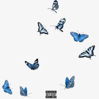 Butterflies by T.P.