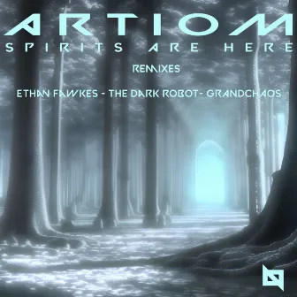 Spirits Are Here by Artiom