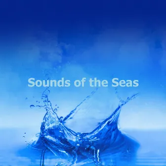 Sounds of the Seas by Sounds of Ice