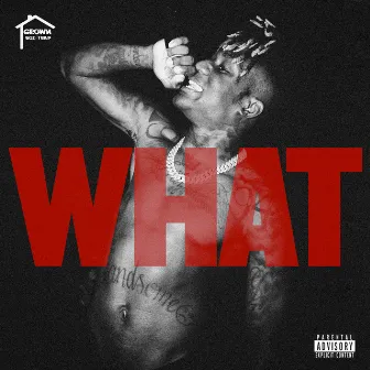 What! by GrownBoiTrap