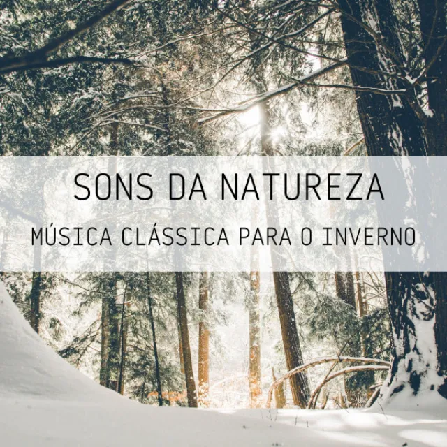 Sons Da Natureza: Música Clássica Para O Inverno