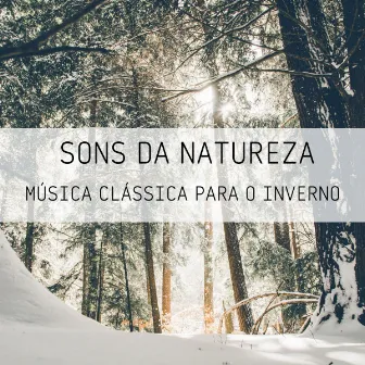 Sons Da Natureza: Música Clássica Para O Inverno by Música Ambiental para Cafés