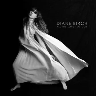 All The Love You Got by Diane Birch