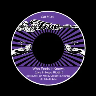 Who Feels It Knows (Live In Hope Riddim) by Jah Mirikle