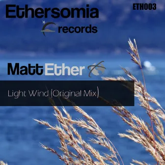 Light Wind - Single by Matt Ether