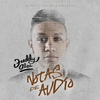 Notas de Audio by Freddy Alca